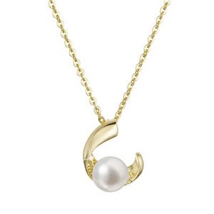 EVOLUTION GROUP CZ Pozlacený stříbrný náhrdelník s říční perlou - 22041.1